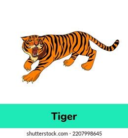 Tiger English Word Flashcard Beginners Stock Illustration 2207998645 | Shutterstock