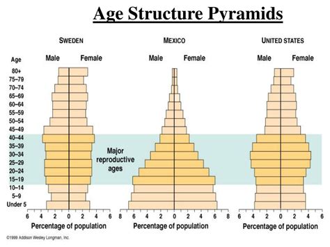 Age Structure Pyramid