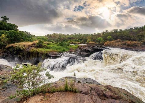 Guide to Murchison Falls Uganda: 16 Things You Need to Know ...