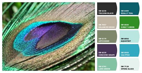 Peacock Paint Color Scheme - Paint Color Ideas