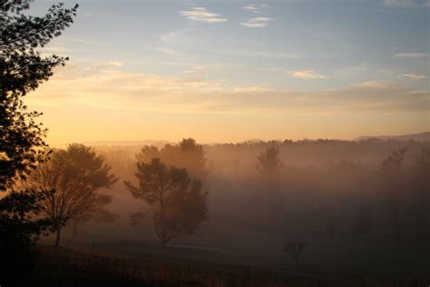 A Suburban Wilderness: Foggy Morning Sunrise Rant