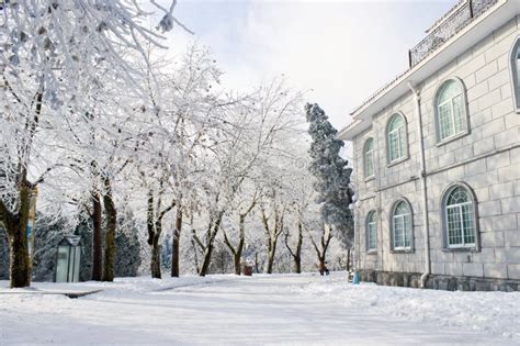 Street with snow stock image. Image of street, building - 12320811