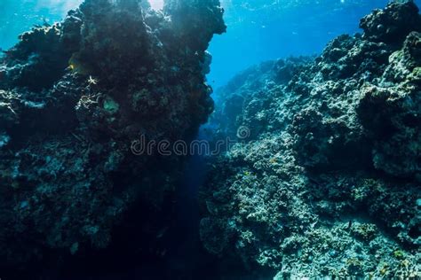 Underwater View with Rocks and Corals in Transparent Blue Ocean. Underwater Landscape Stock ...