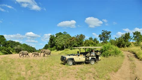 Imbali Safari Lodge - Kruger National Park - South Africa