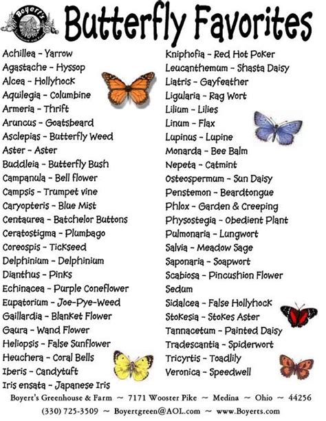 the butterfly favorites list is shown in black and white