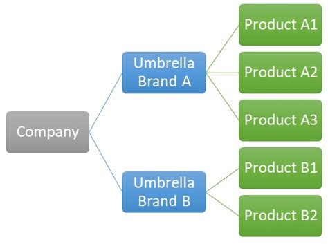 What Is Umbrella Branding Definition Advantages And Examples Of ...