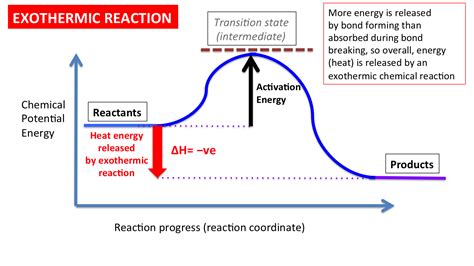 Diagram For Exothermic Reaction