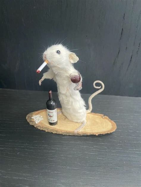 20 Funny Examples Of Taxidermy Gone Horrifically Wrong | DeMilked