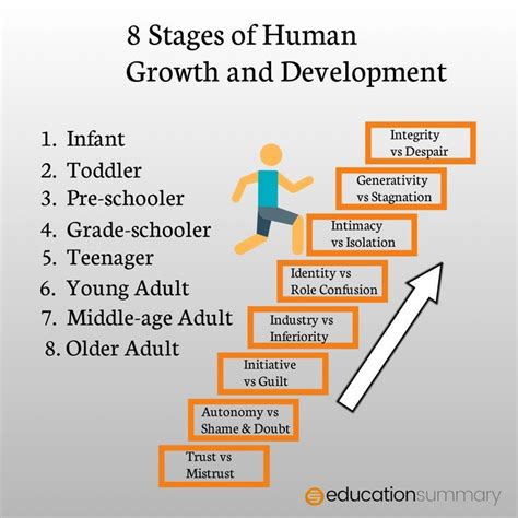 Human Growth And Development Worksheets