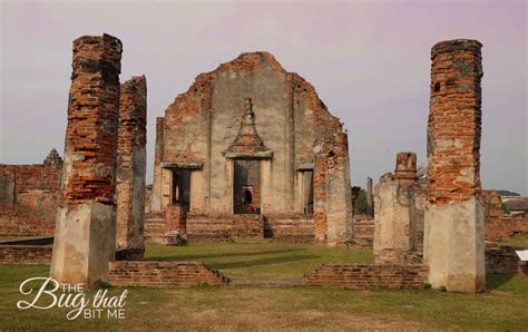 Lopburi ruins - The Bug That Bit Me