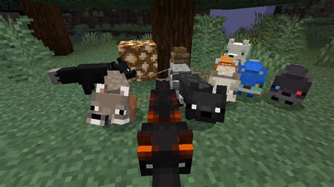 Shadew's Foxes - Minecraft Mods - CurseForge