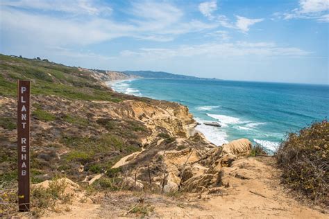 Torrey Pines State Reserve: Hiking the Beach Trail | We Who Roam | Torrey pines state reserve ...