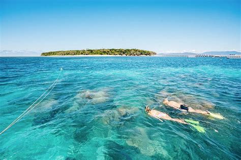 2024 Snorkelling or Glass Bottom Boat at Green Island from Cairns