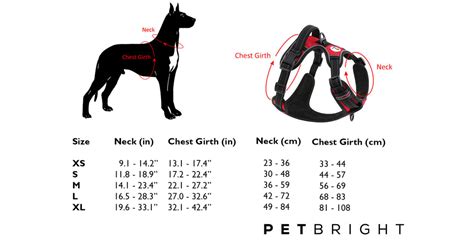 Dog Harness Size Chart - How to Measure Your Dog | PetBright