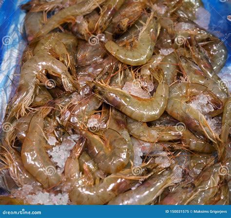 Fresh Prawns for Sale in Seafood Market Stock Image - Image of cuisine, fish: 150031575