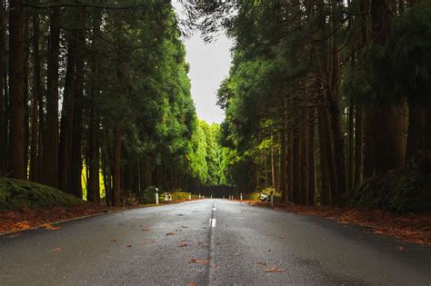 Explore Terceira Island: Your Complete Travel Guide