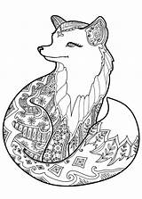 Printable Coloring Pages Fox sketch template