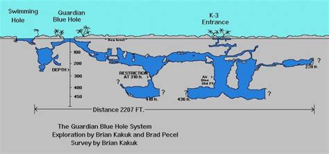 CaveAtlas.com » Cave Diving » Bahamas » Guardian Blue Hole