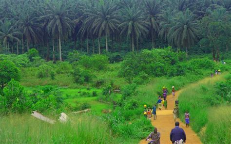 File:Sierra Leone Road.jpg - Wikimedia Commons