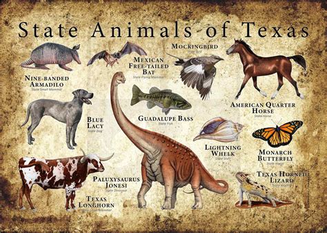 Texas State Animals Poster Print - inkart