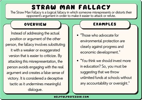 15 Straw Man Fallacy Examples (2024)