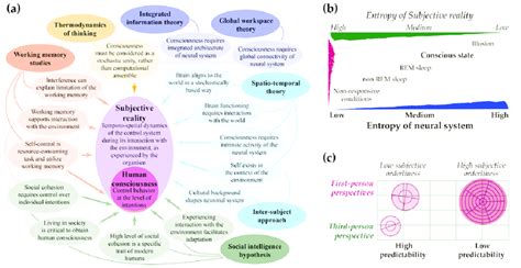 (a) Theories and advances in studying consciousness synthesized in the ...