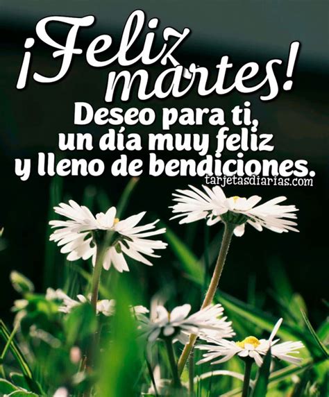 ¡FELIZ MARTES! DESEO PARA TI, UN DÍA MUY FELIZ Y LLENO DE BENDICIONES - Tarjetas Diarias