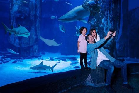 SEA LIFE Aquarium at American Dream Mall - | Tripadvisor