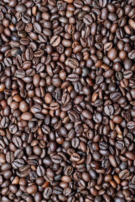 Fresh roasted coffee beans stock image. Image of fresh - 4783965