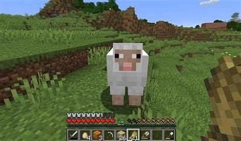 Minecraft Sheep: Spawning, Behavior, Breeding & More