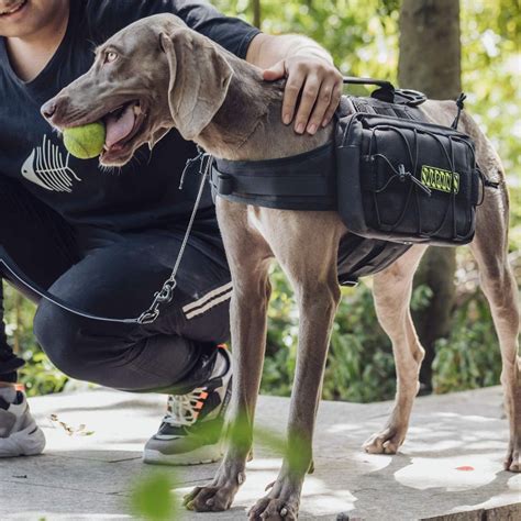 OneTigris Dog Backpack for Hiking Nylon Dog Harness Backpack with Side Pockets for Large Dog ...
