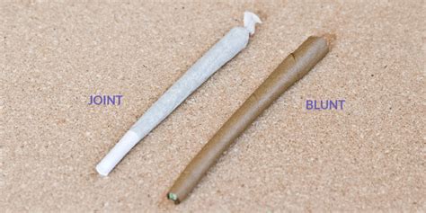 How to tell the difference between a blunt and a joint? : r/saplings