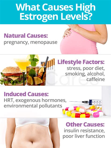 High Estrogen Levels: About and Causes | SheCares