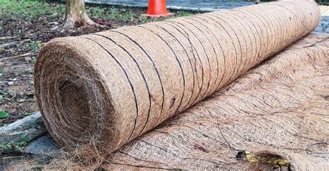 How Does Erosion Netting Prevent Erosion - Trim That Weed