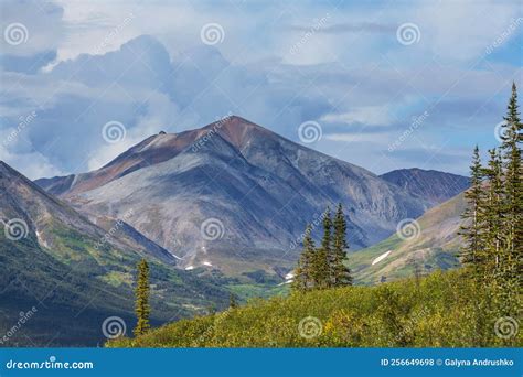 Polar tundra stock photo. Image of base, mountain, landscape - 256649698