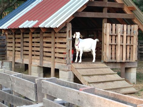 14Pallet Goat Shelter | Goat shelter, Goats, Goat house