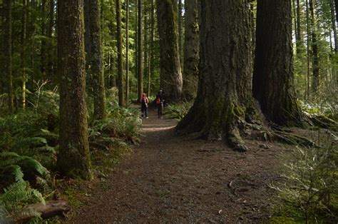 Silver Falls State Park - Hike Oregon