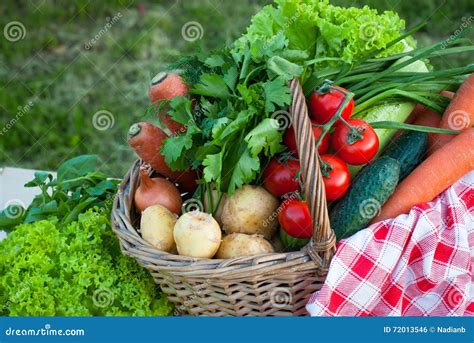 Basket with Freshvegetables Stock Photo - Image of zucchini, carrot: 72013546