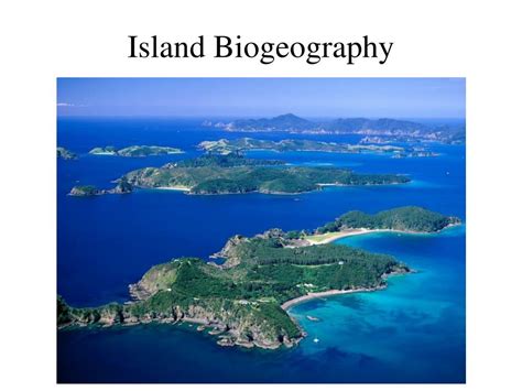 PPT - Island Biogeography PowerPoint Presentation, free download - ID:1775989