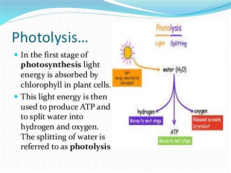 NEW FORM OF PHOTOLYSIS DISCOVERED [1 min read]