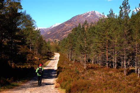 Glen Affric Circuit | Visit Inverness Loch Ness