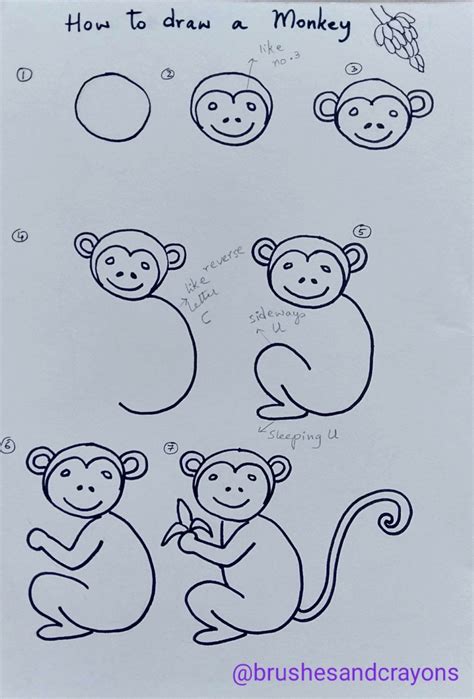 How to draw a monkey, with step by step easy to follow instructions. | Monkey drawing easy ...