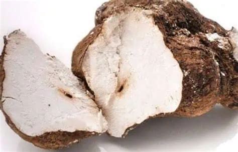 Organic Poria Cocos Mushroom Powder: 100g-1kg – Dried Wolfiporia