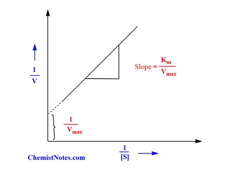 Michaelis-Menten Equation: Assumptions, derivation, graphs - Chemistry Notes