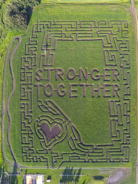 Get Lost at the Edmonton Corn Maze in 2020 | Family Fun Edmonton