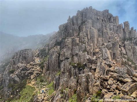 Preparing for Cradle Mountain Summit Walk: Things you want to know