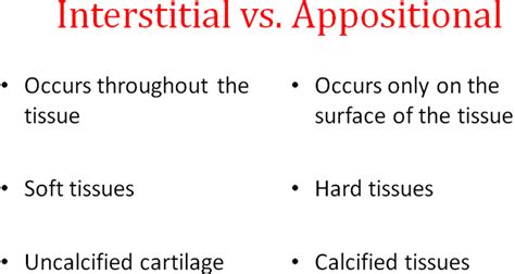 Appositional Bone Growth