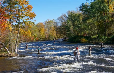 The Salmon River International Sport Fishing Museum and Visitor Center - Exploring Upstate