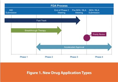 The Lifecycle from Drug Development Through Approval Processes ...