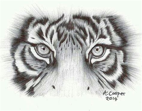 Pin by Hùng Trần on Dibujos | Tiger eyes tattoo, Tiger tattoo design ...